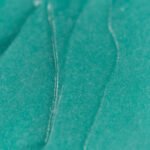 ZOLA - COLOR LAB PROTEIN | Solutie laminare sprancene & gene (STEP 1) - imagine 2