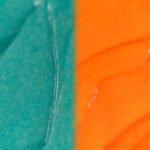 ZOLA - COLOR LAB PROTEIN | Set laminare sprancene & gene - imagine 2