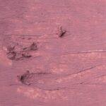 ZOLA - GEL LIP PENCIL | Creion de buze gel (104 / DUSTY ORCHID) - imagine 9