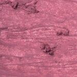 ZOLA - GEL LIP PENCIL | Creion de buze gel (105 / VINTAGE PINK) - imagine 9